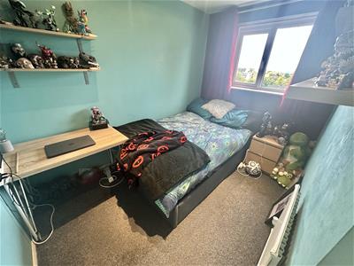 Picture 17